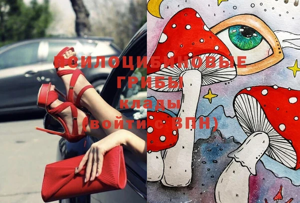 дживик Алексеевка