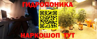 наркотики Абакан