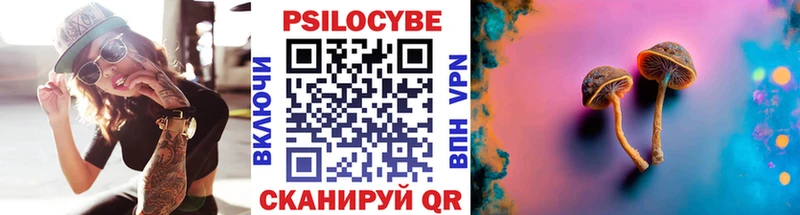 наркотики  Алексеевка  Галлюциногенные грибы Psilocybe 