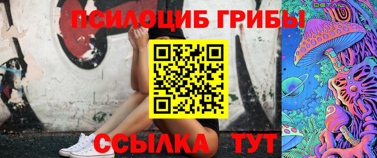 Алексеевка  Псилоцибиновые грибы Psilocybe  Вход с VPN 
